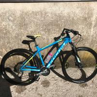 MTB FOCUS 29”