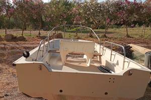 Boston Whaler di 5 metri