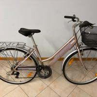 Bicicletta unisex + Mountain Bike