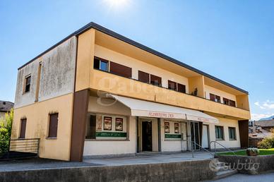 Stabile/Palazzo Lamon [BL-33VCG]