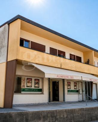 Stabile/Palazzo Lamon [BL-33VCG]