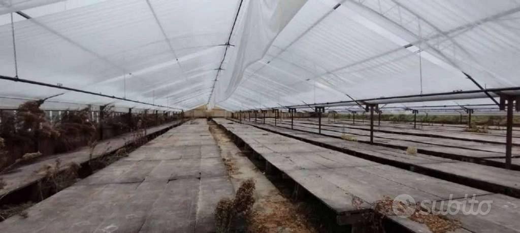 Immobile in asta di 19930 m² a Montevarchi - Vista 3