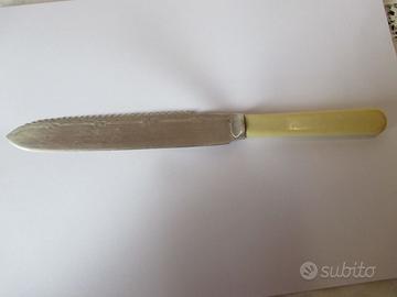 Coltello da roastbeef