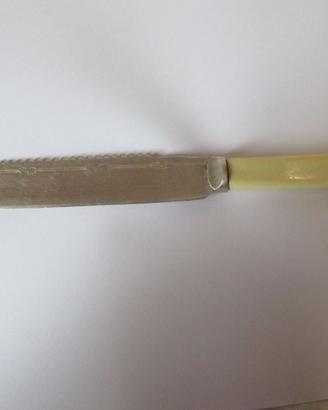 Coltello da roastbeef