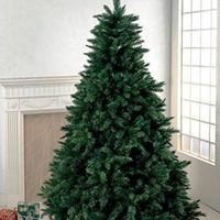 Albero di natale e presepe