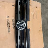 Griglia anteriore VW Tiguan II serie con anticolli