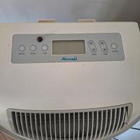 Pinguino aria fredda 