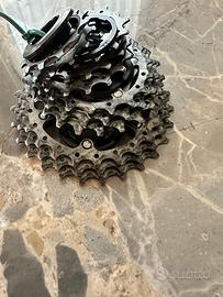 cassetta pignoni Campagnolo