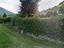 Immagine 15