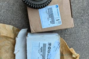 Coppia ingranaggi ducato