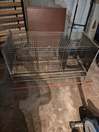 Batteria pollaio per galline ovaiole