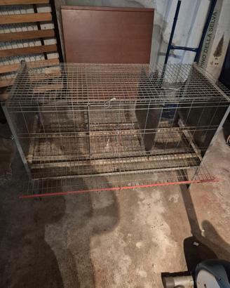 Batteria pollaio per galline ovaiole