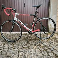 Bicicletta Ridley in carbonio 