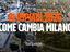 Immagine 19