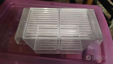 Vaschetta accrescimento avannotti