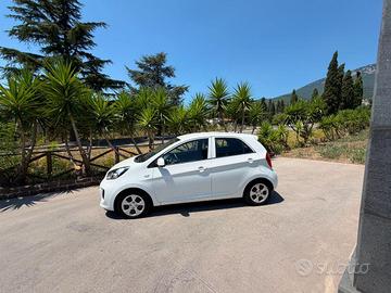 KIA - Picanto - 1.0 12V EcoGPL 5p. Active