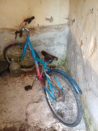 bici bimba misura 24