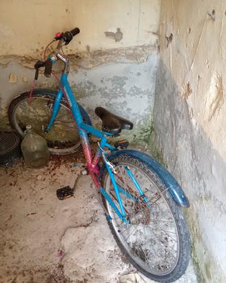bici bimba misura 24