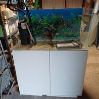 acquario 200 litri