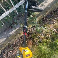 DESPUGLIATORE A SCOPPIO