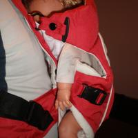 Marsupio koala brevi rosso