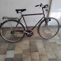 bicicletta da uomo 