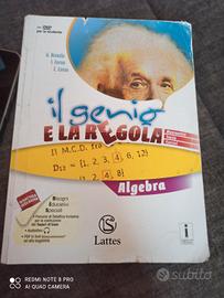il genio e la regola