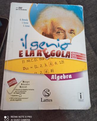 il genio e la regola
