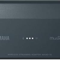 Yamaha WXAD-10 Streamer di rete Hi-Fi