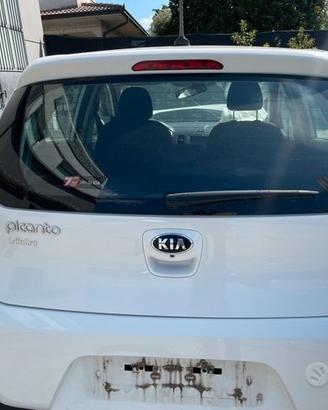 Portellone posteriore baule Kia picanto