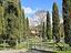 Immagine 8