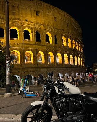 Harley 883 iron