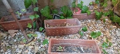 vasi in terracotta e resina 
