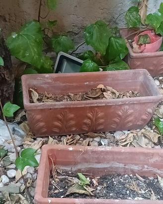 vasi in terracotta e resina 