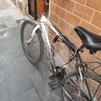 Bici MTB 26