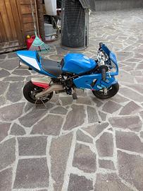 Polini gp 4