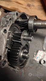 Honda sh 300 ingranaggi
