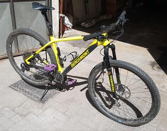 Bergamont Revox sport (gruppo Scott)