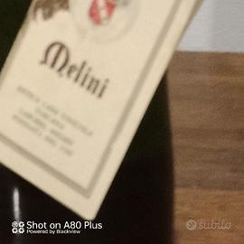 Bottiglia integra vino