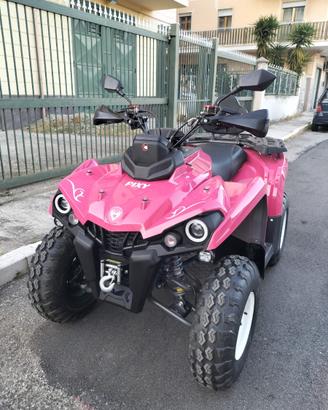 Quad Lem con targa gialla