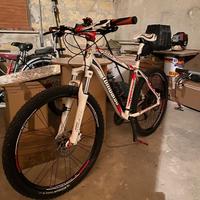 Bicicletta Lombardo Sestriere 600