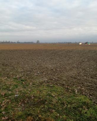 Terreno agricolo