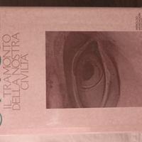 Il tramonto della nostra civiltà