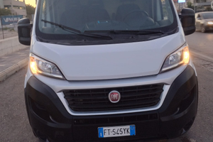 Fiat ducato 2.3 multijet 2019 km 94102 esente Iva
