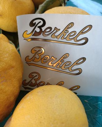 BERKEL Adesivi Stella duci per bilance d'epoca