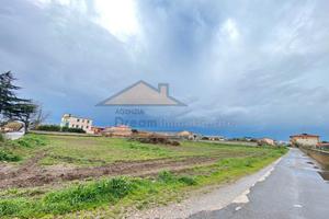 Terreno agricolo Via Sorbe Rosse