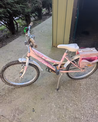 Biciclette bambino/a