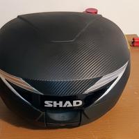 Bauletto shad 39 l