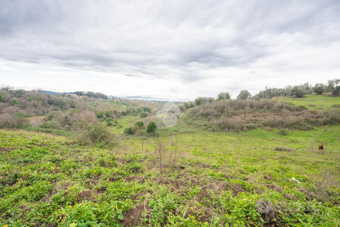 TER. AGRICOLO A SACROFANO - Vista 4