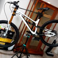 Mountain bike Mtb da trail downhill escursioni